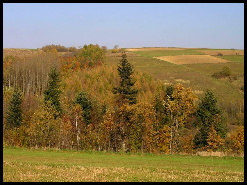 Jesień