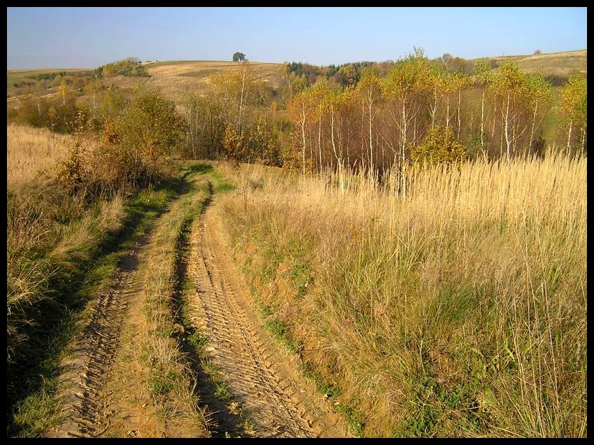 Jesień