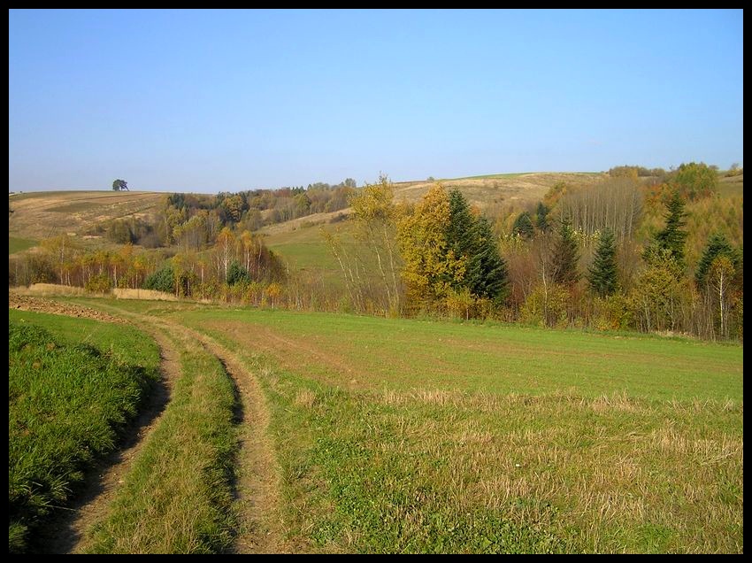 Jesień