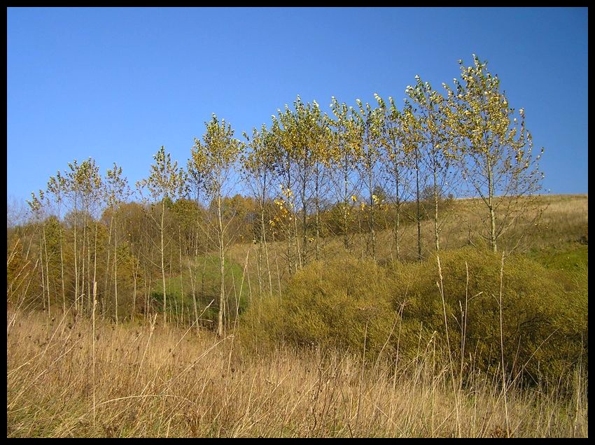 Jesień