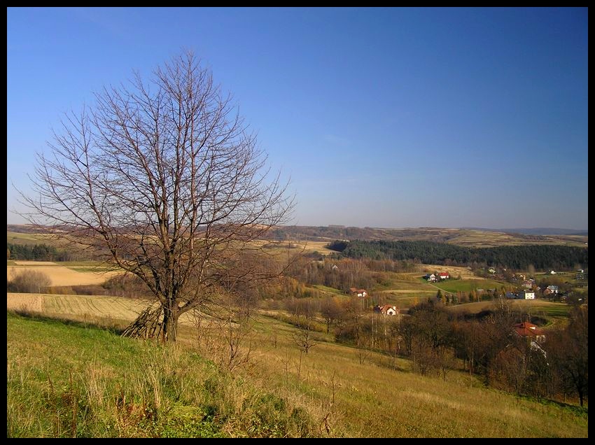 Jesień