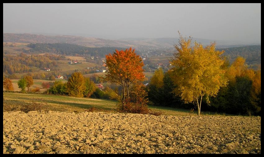 Jesień