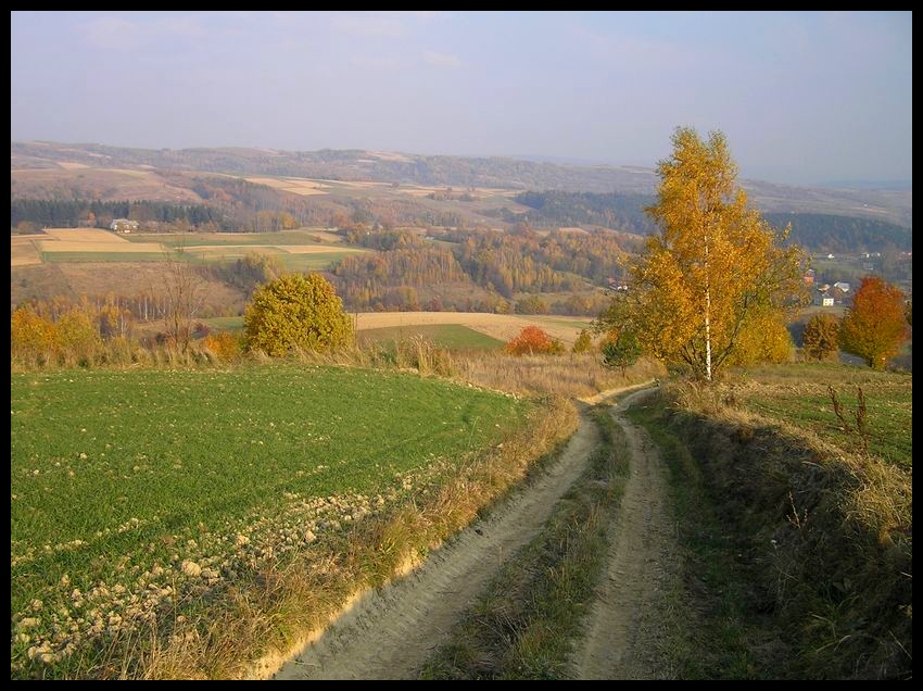 Jesień