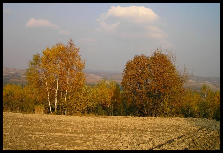 Jesień
