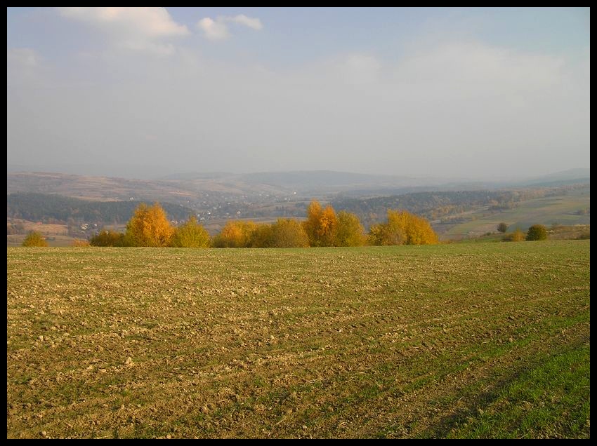 Jesień