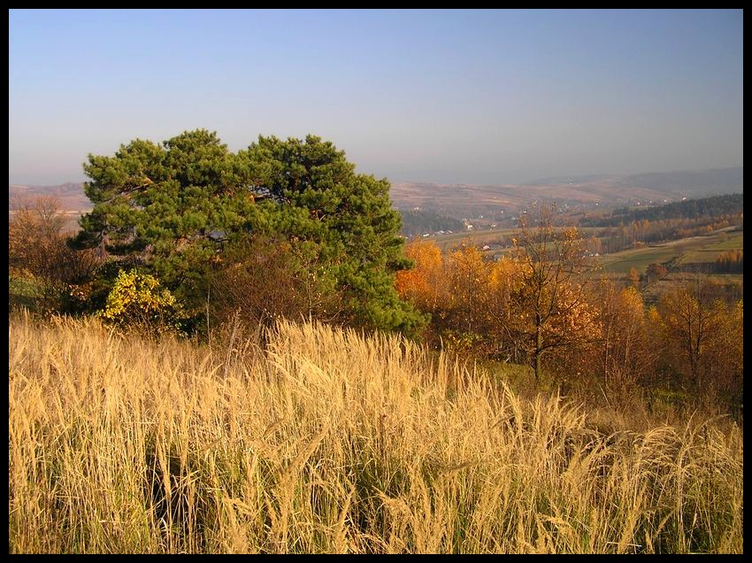 Jesień