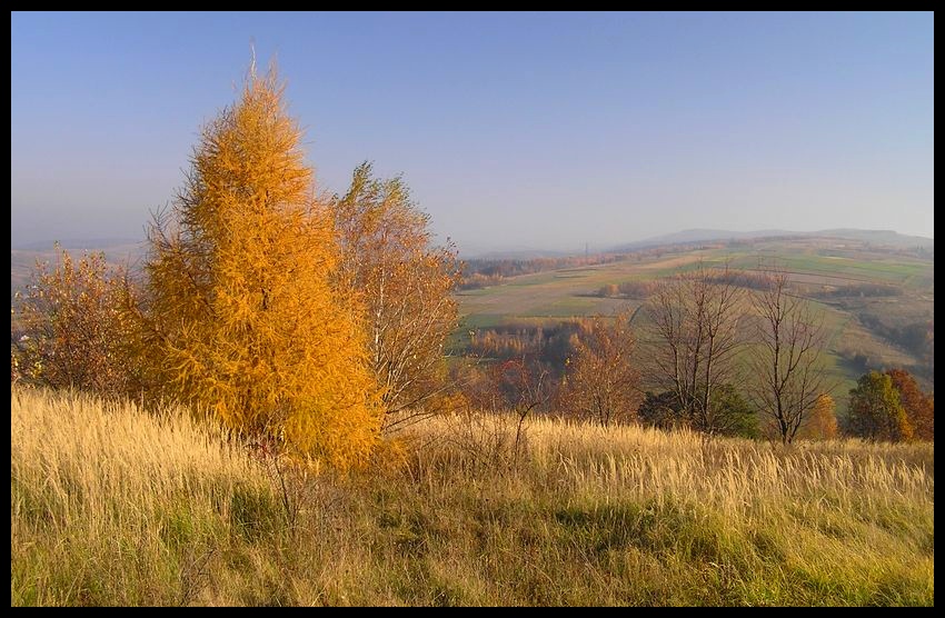 Jesień