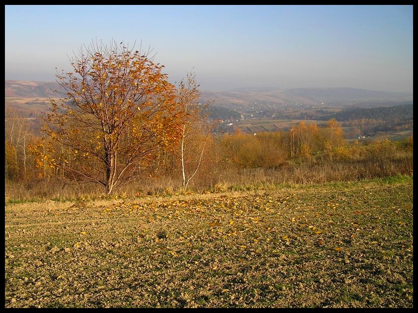 Jesień