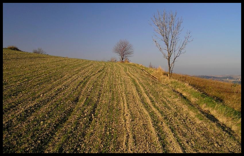 Jesień