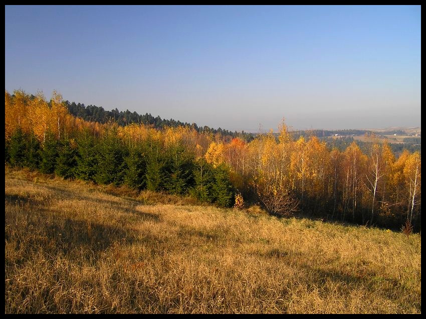 Jesień