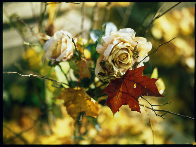 United Colours of...