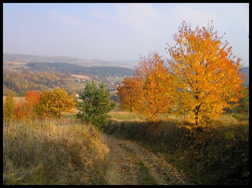 Jesień