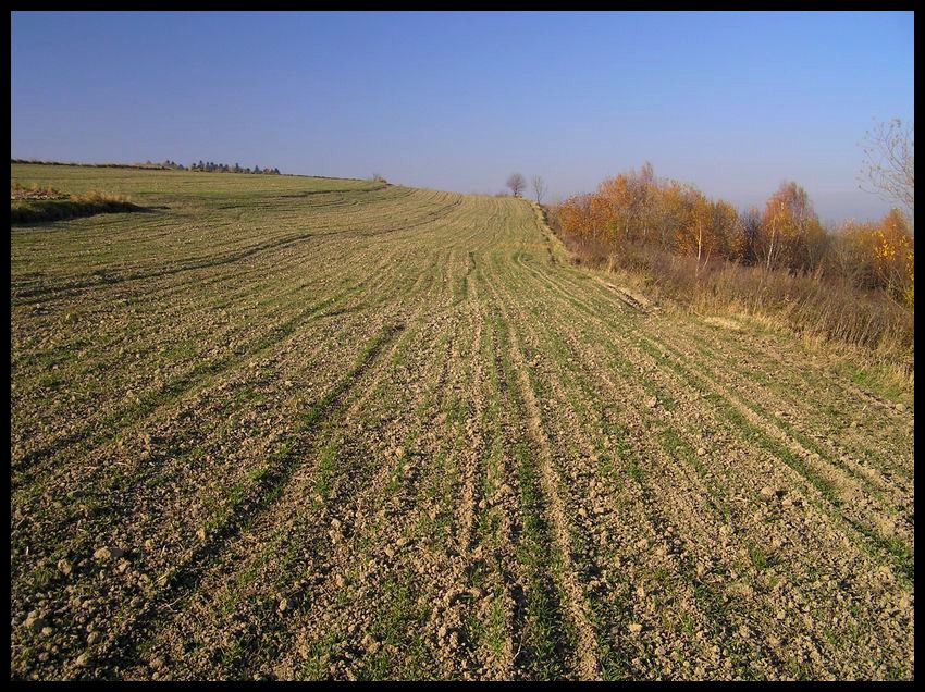 Jesień