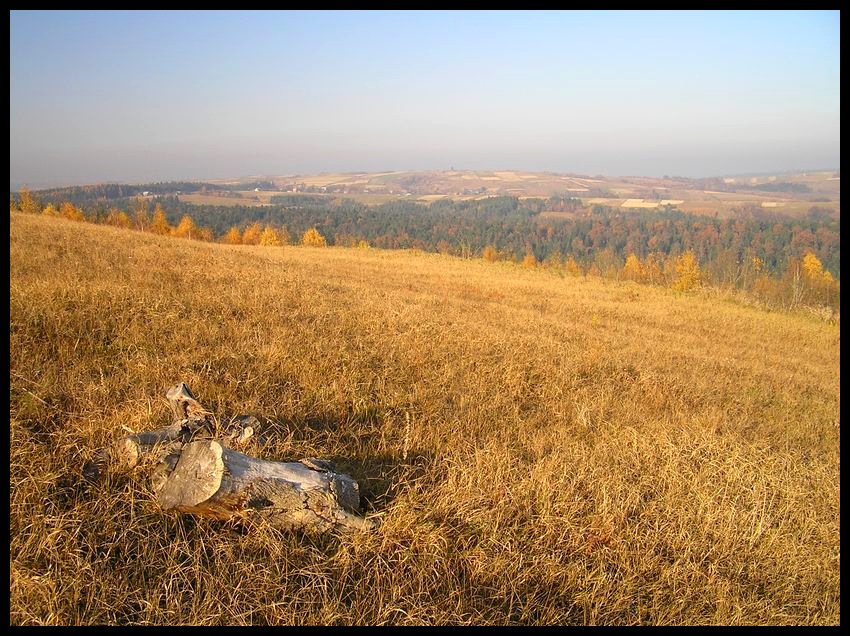Jesień