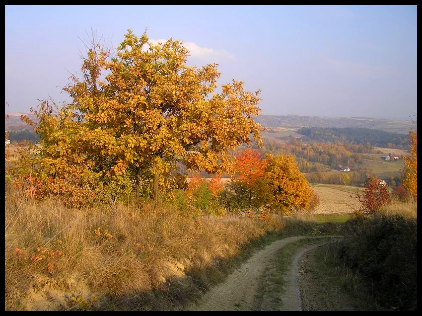 Jesień