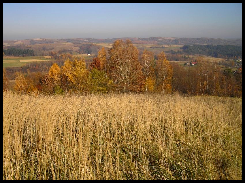 Jesień