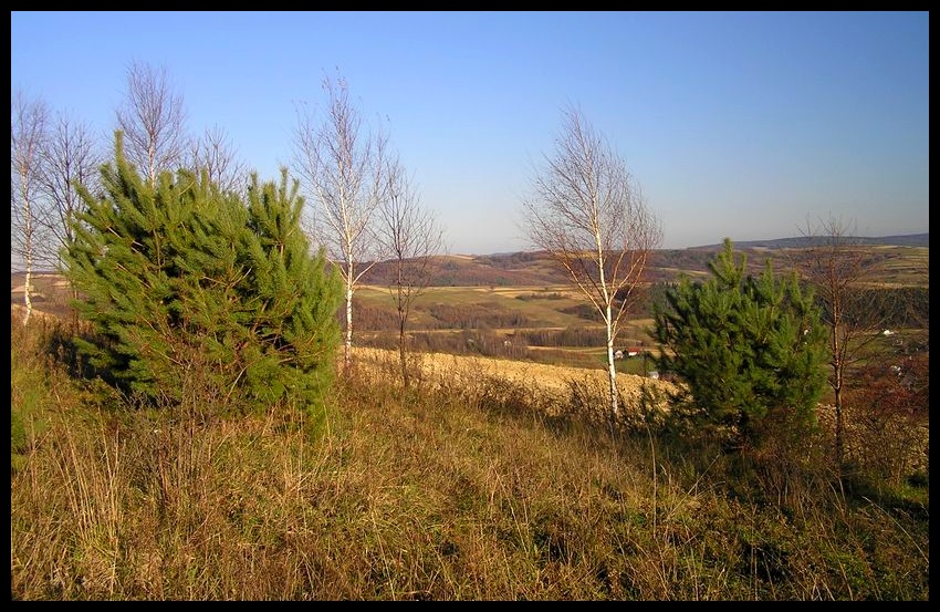 Jesień