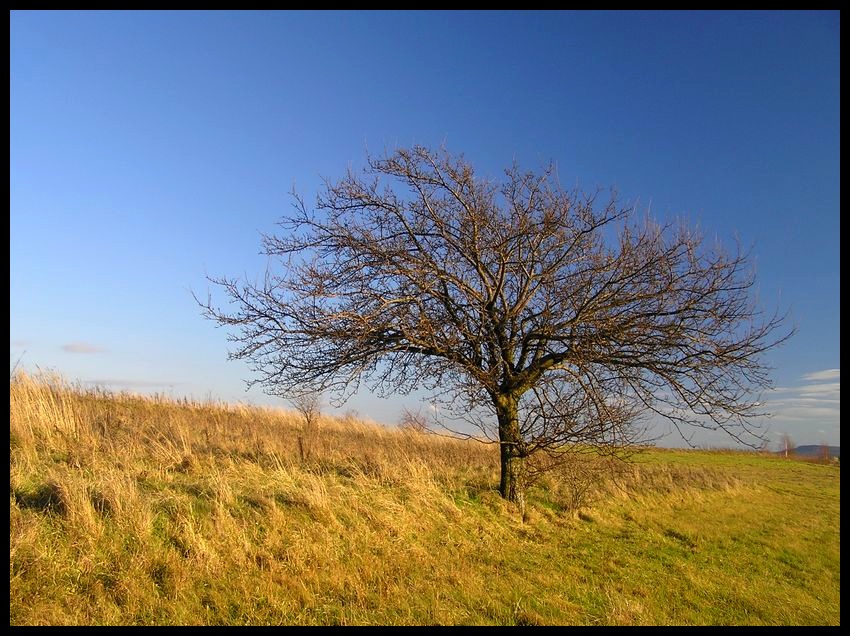 Jesień