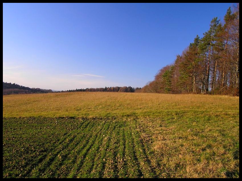 Jesień