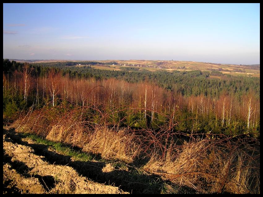 Jesień
