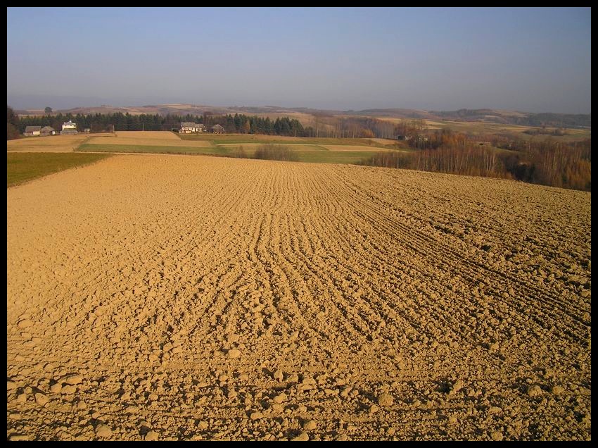 Jesień