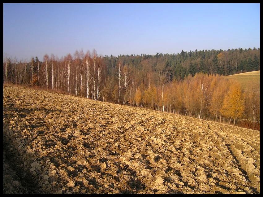 Jesień
