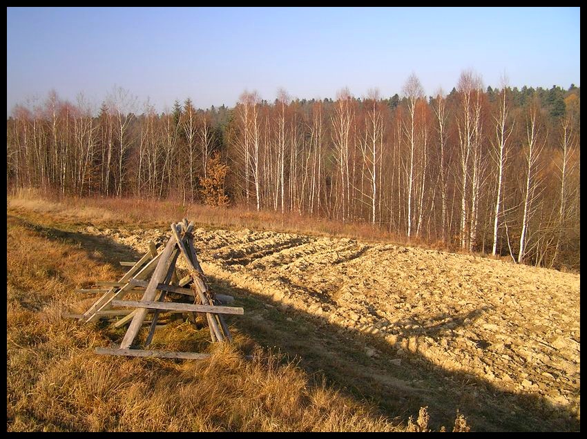 Jesień