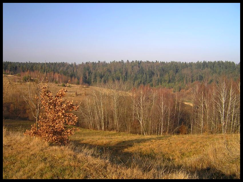 Jesień