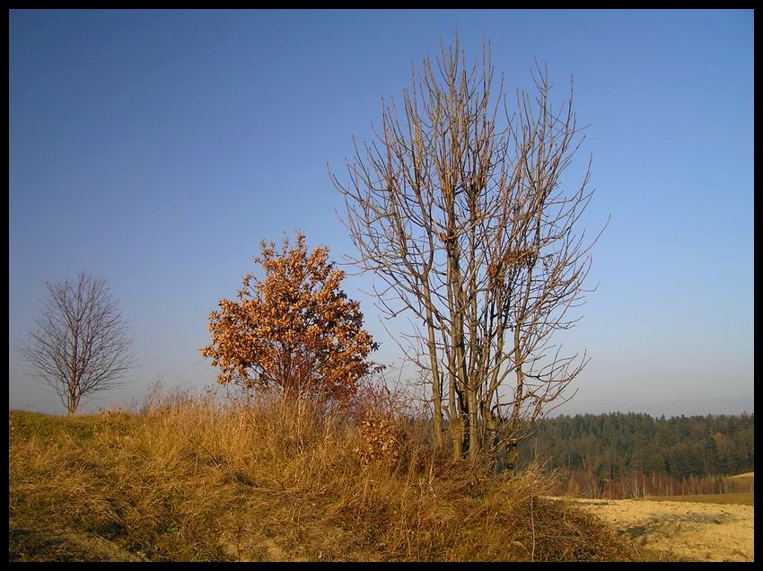 Jesień