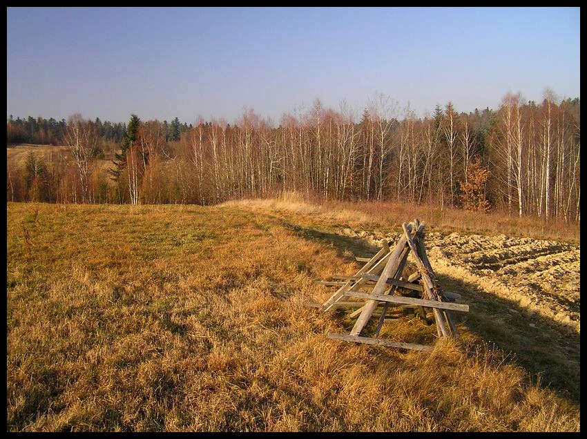 Jesień