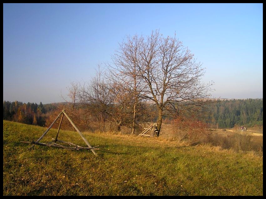 Jesień