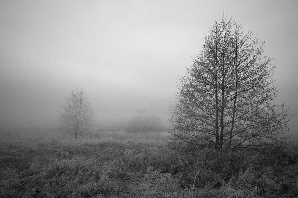 Lublin - nad rzeką Bystrzycą