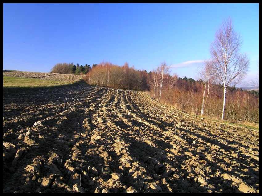 Jesień