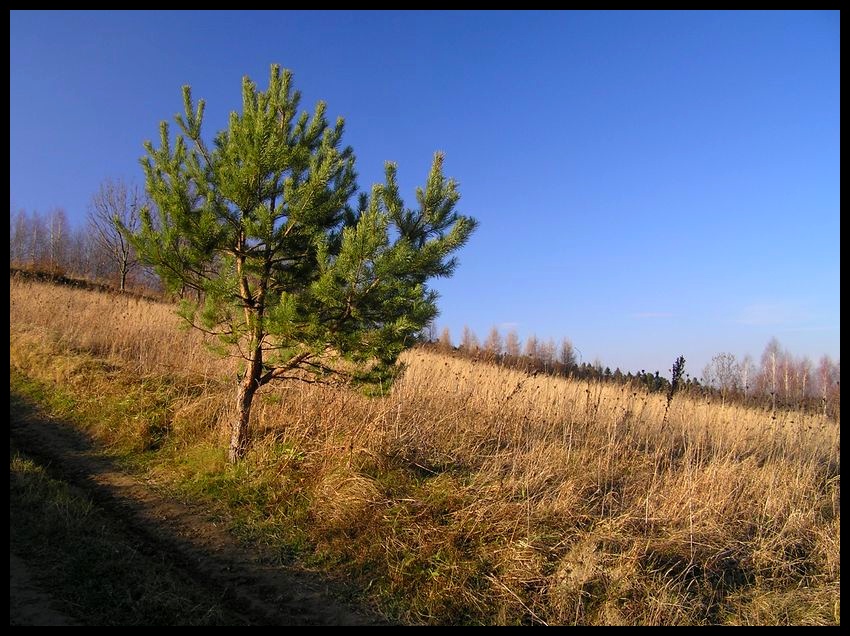 Jesień