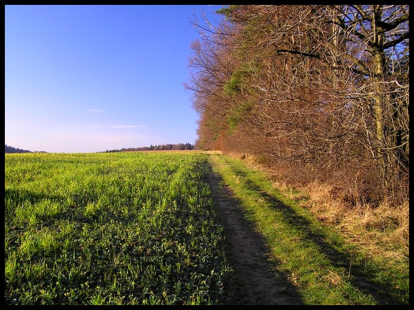 Jesień