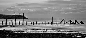Newhaven