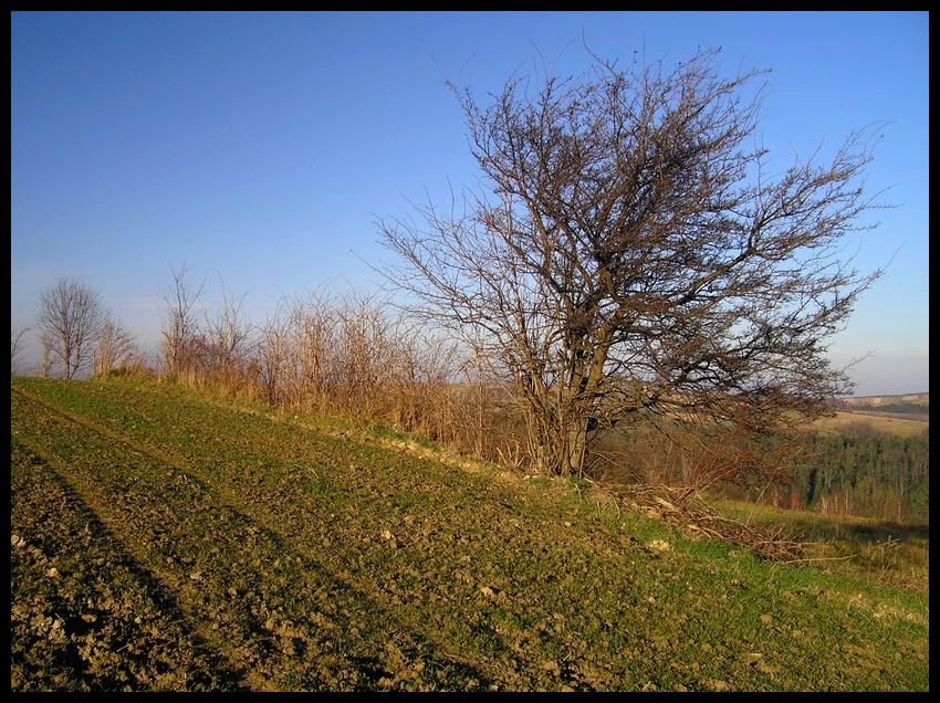 Jesień