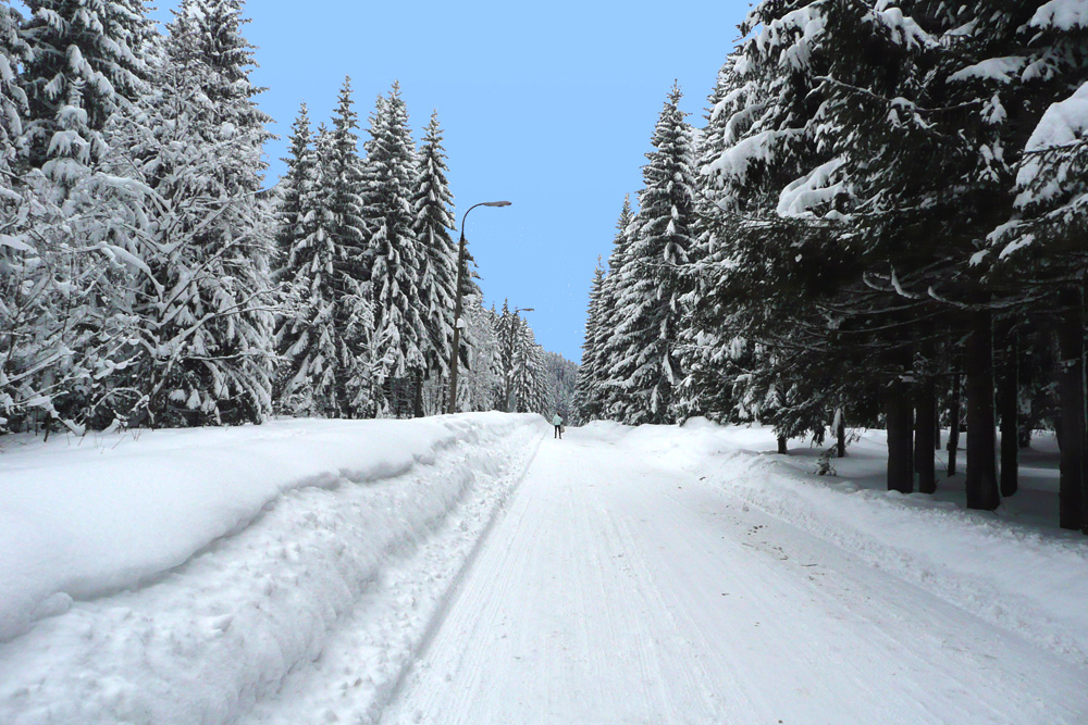 Zakopane 2010