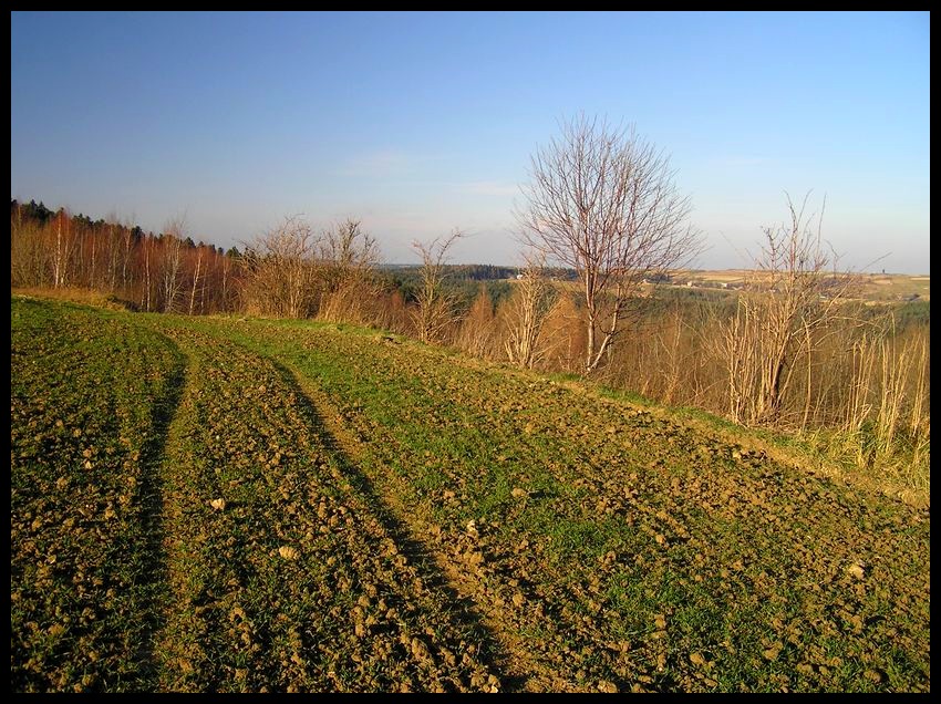 Jesień