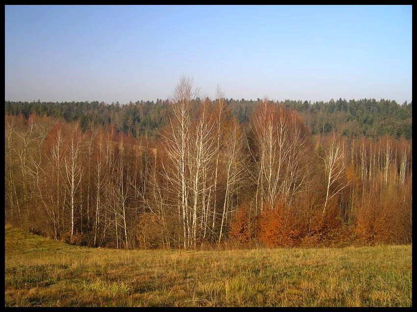 Jesień