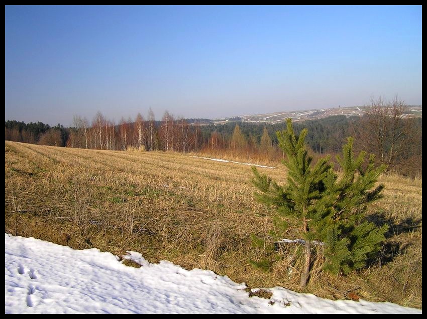 Zima (mało śnieżna)