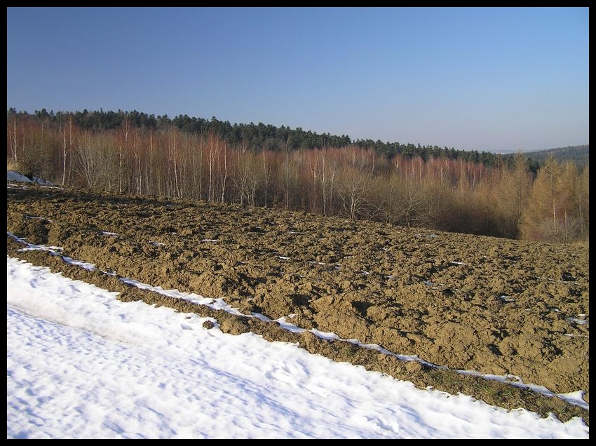 Zima (mało śnieżna)