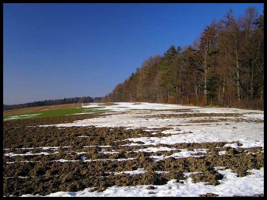 Zima (mało śnieżna)