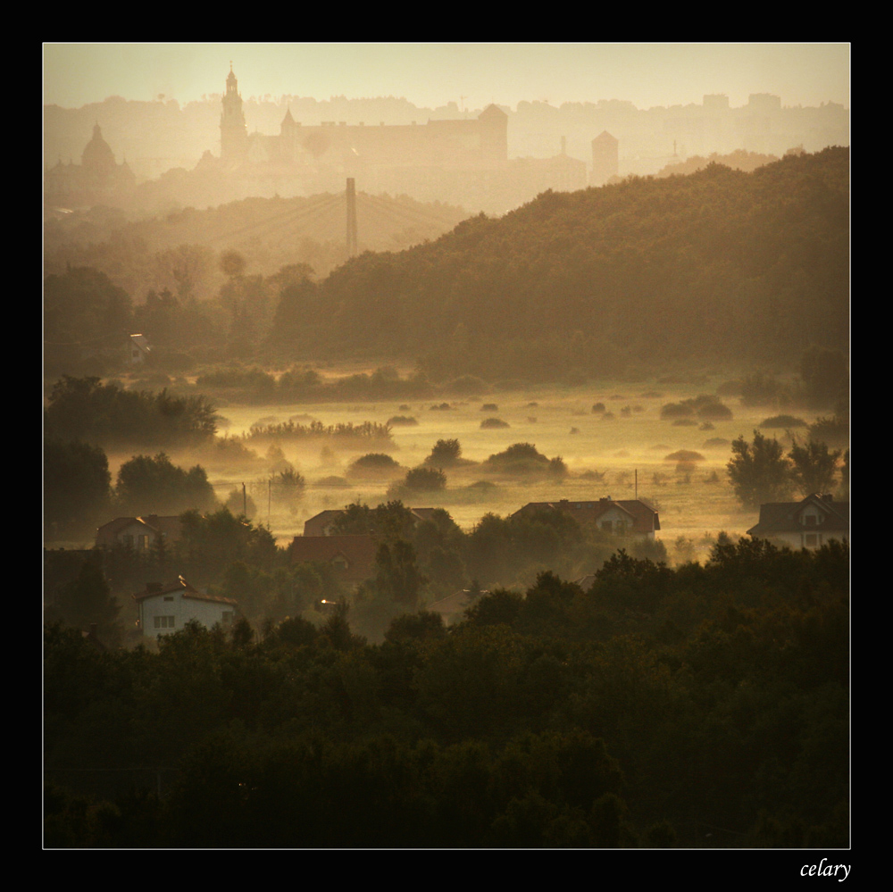 Wawel