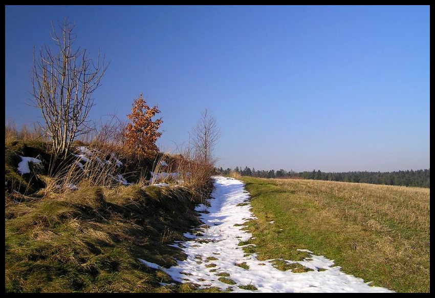 Zima (mało śnieżna)