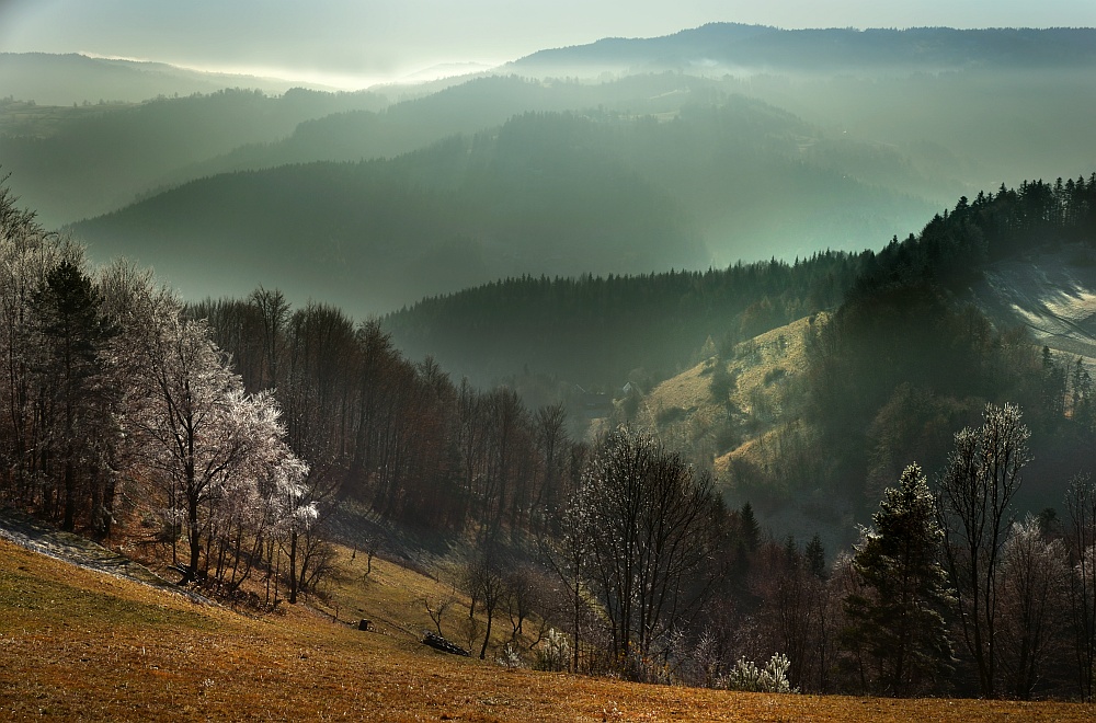 polana....