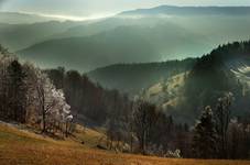 polana....