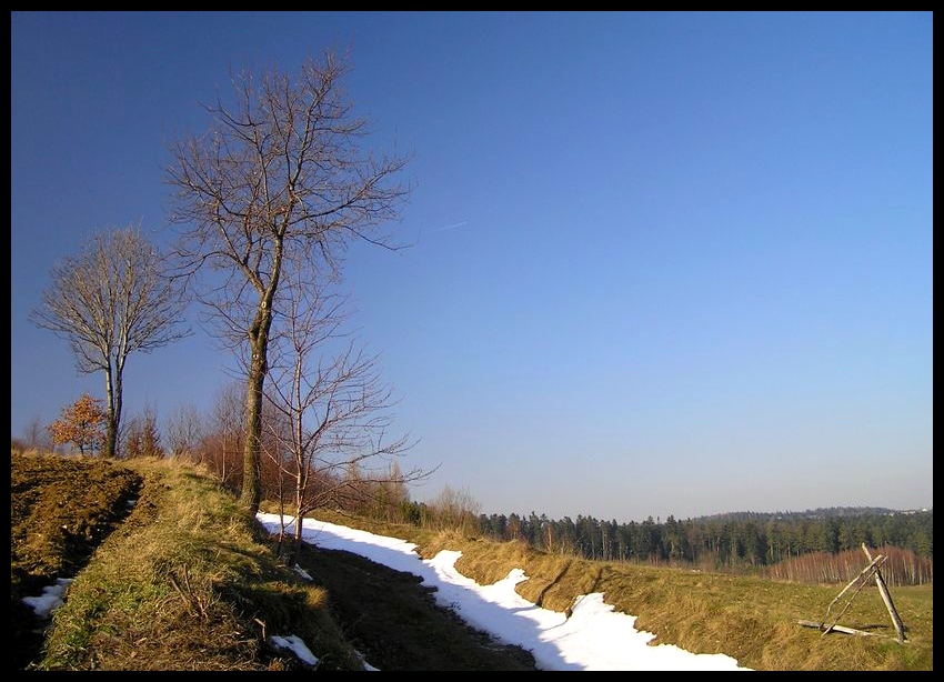 Zima (mało śnieżna)