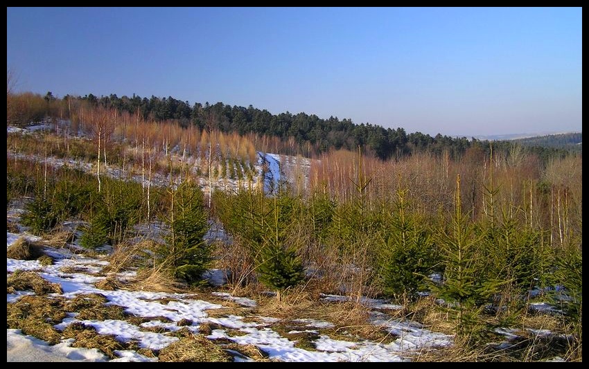 Zima (mało śnieżna)
