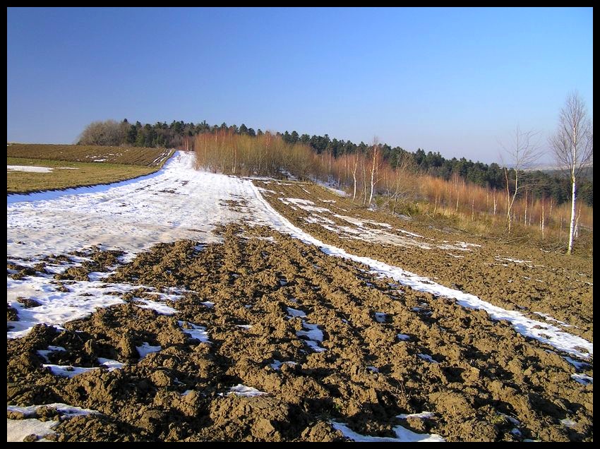 Zima (mało śnieżna)